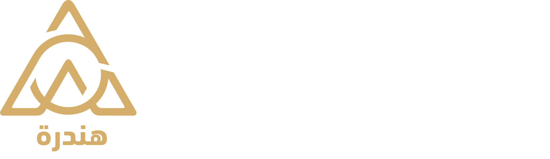 شركة هندسة الإدارة للإستشارات